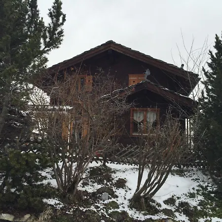 Dağ evi Pattier Nendaz